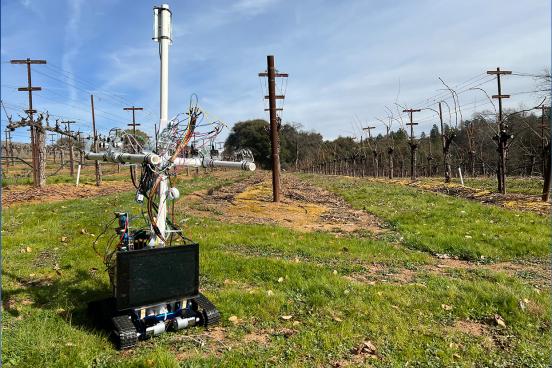 Autonomous Yield Estimator (AYE) Rover in the Field