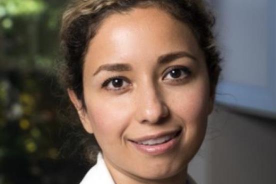 Setareh Rafatirad
