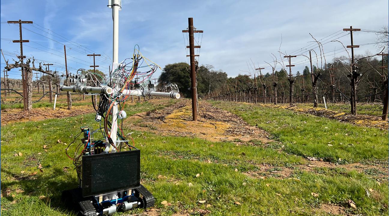 Autonomous Yield Estimator (AYE) Rover in the Field