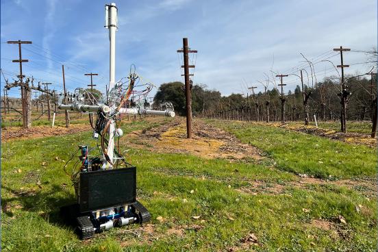 Autonomous Yield Estimator (AYE) Rover in the Field
