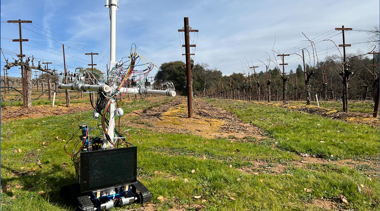 Autonomous Yield Estimator (AYE) Rover in the Field