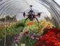 The Pollinator UAV in Action